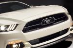 Ford Mustang GT 50th Anniversary Edition 2015 года